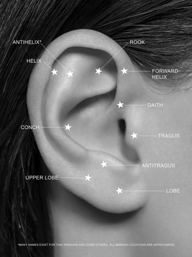 Ear Map