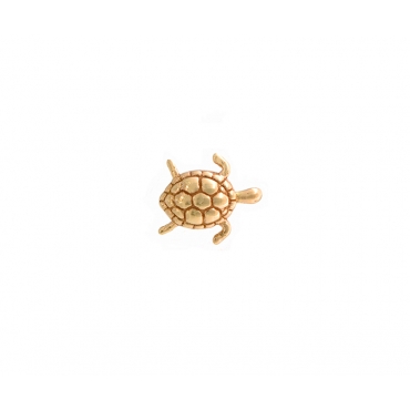 Swimming Turtle 1000-700