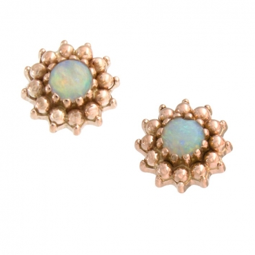Bvla wholesale sales