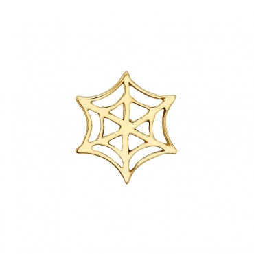Spider Web 0246