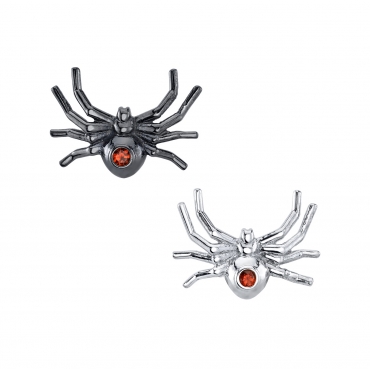 Black Widow Spider 0423