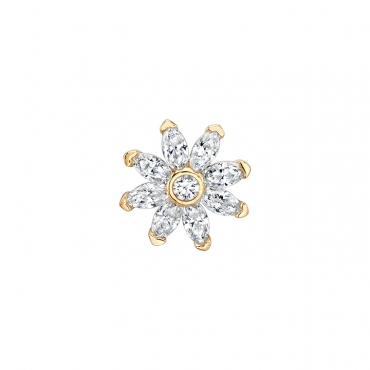 Sunflower 0297
