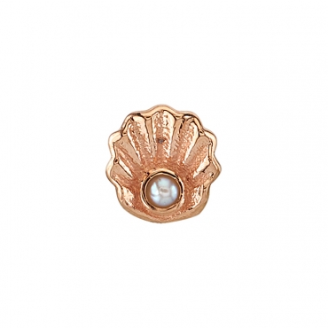 Scallop 0538
