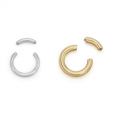 Segment Ring 47-GA/DIA