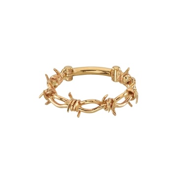Daniella's Crown of Thorns 37-1786