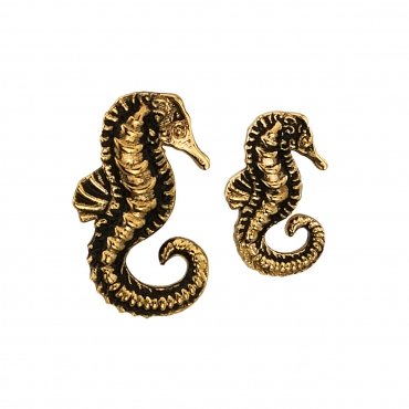 Seahorse 0704