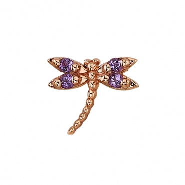 Damselfly 1954