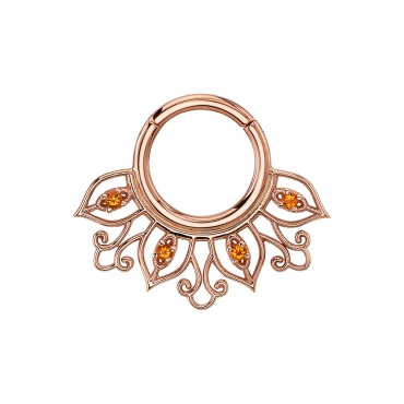 BVLA Septum