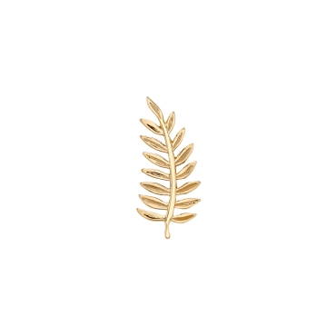 MINI FERN 1645-120
