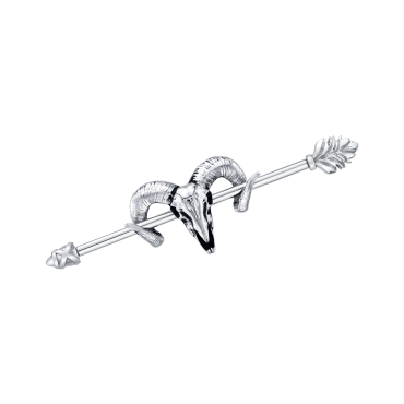 WARRIOR'S ARROW 07-4043