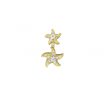 Starfish 20-0020