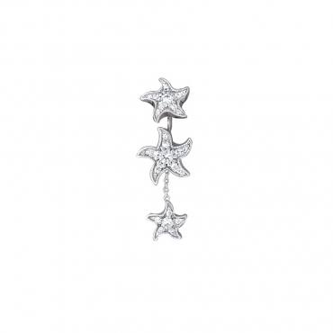 Starfish Family 20-0035