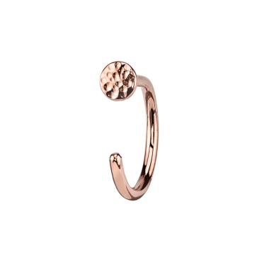 HAMMERED DISC NOSTRIL SNAIL 89-1468