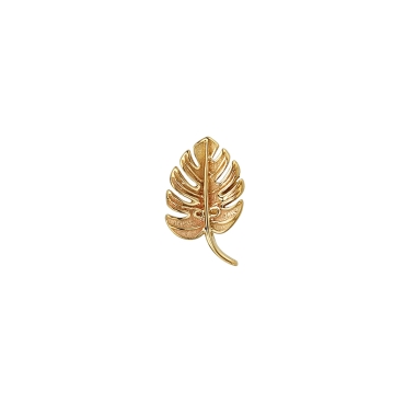 RIGHT TINY MONSTERA 1915-500-R