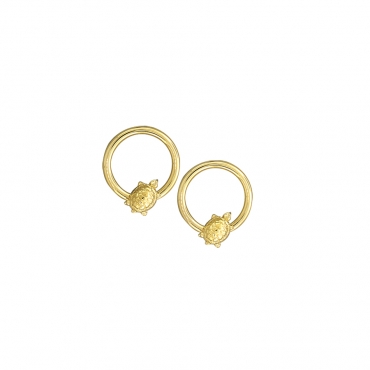 Turtle Mania 37-0304